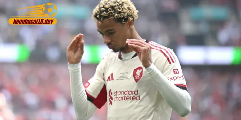 Từ Frankfurt đến Anfield: Bước ngoặt trong sự nghiệp của Ekitike